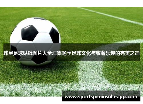 球星足球贴纸图片大全汇集畅享足球文化与收藏乐趣的完美之选