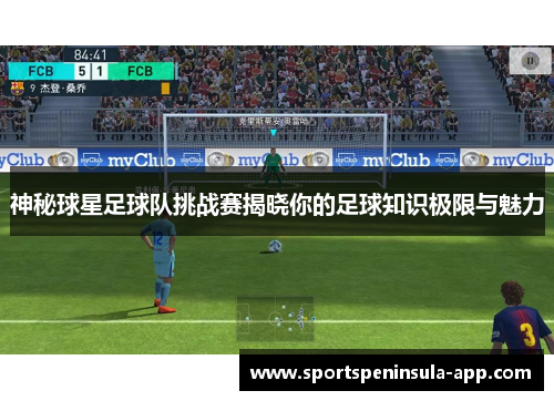 神秘球星足球队挑战赛揭晓你的足球知识极限与魅力
