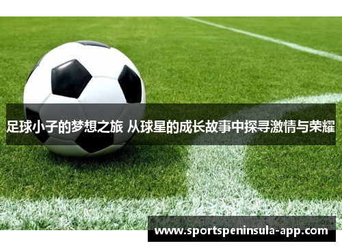 足球小子的梦想之旅 从球星的成长故事中探寻激情与荣耀