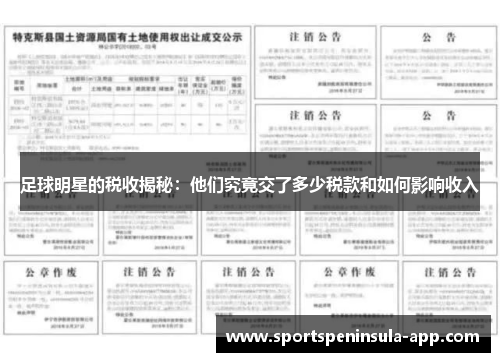 足球明星的税收揭秘：他们究竟交了多少税款和如何影响收入