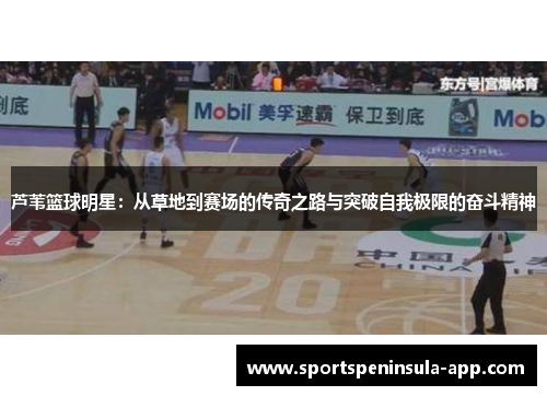 芦苇篮球明星：从草地到赛场的传奇之路与突破自我极限的奋斗精神