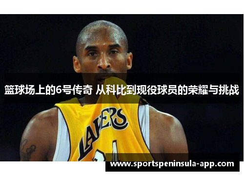 篮球场上的6号传奇 从科比到现役球员的荣耀与挑战